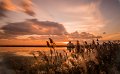 marco_maccagnani_tema1_foto1