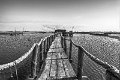 marco_maccagnani_tema3_foto2