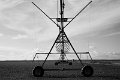 Massimo_Orsi_tema2_foto1