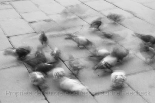 137_07.JPG