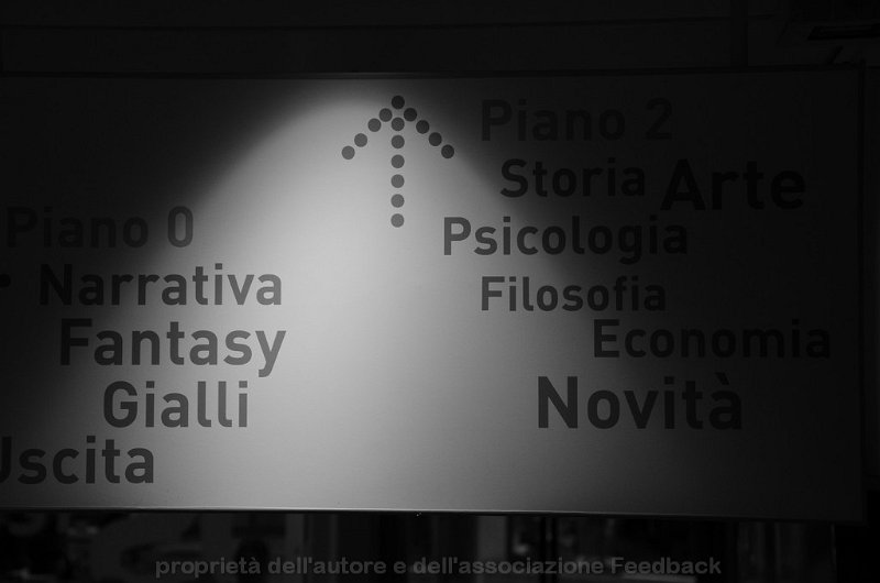 230_13.jpg