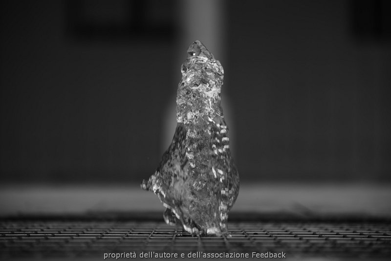 156_01.JPG