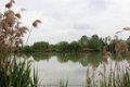 080