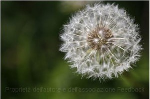 maratona2012